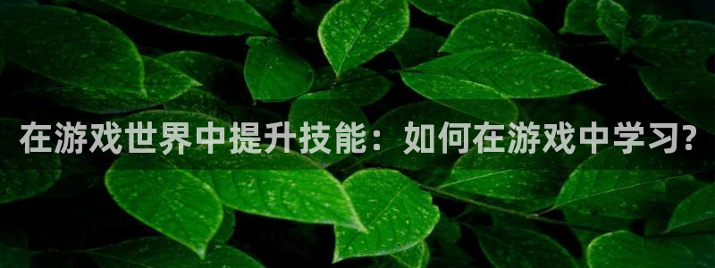 杏运电影免费观看：在游戏世界中提升技能：如何在游戏中学习?
