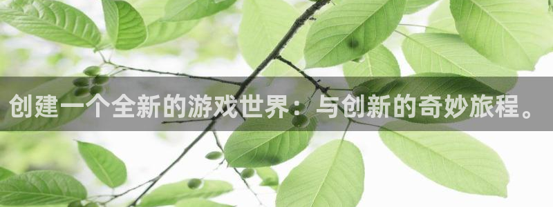 杏运娱乐怎么样：创建一个全新的游戏世界：与创新的奇妙旅程。