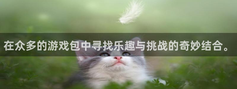杏运娱乐注册账号入口在哪里：在众多的游戏包中寻找乐趣与挑战的