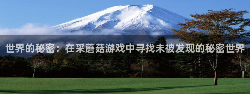 杏运娱乐手机端官网