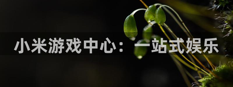 杏运娱乐注册流程