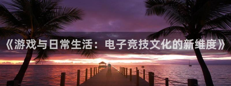 杏运连连：《游戏与日常生活：电子竞技文化的新维度》