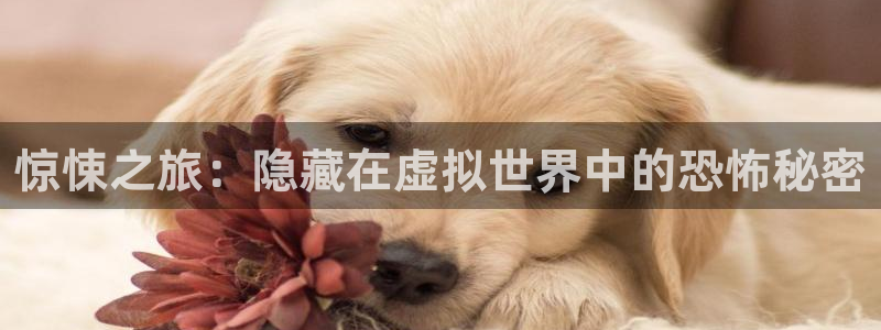 杏运体育app下载安装