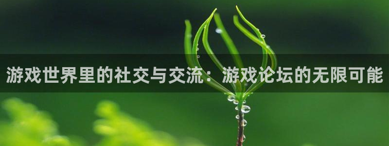 杏运电影免费观看：游戏世界里的社交与交流：游戏论坛的无限可能