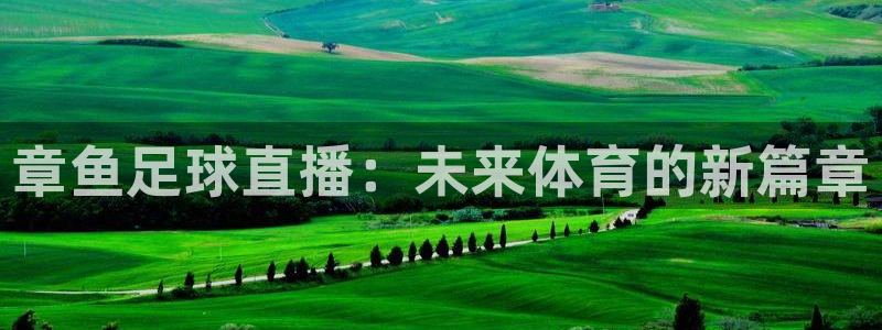 山猫足球免费直播高清视频