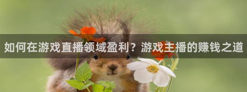 山猫看球免费高清直播