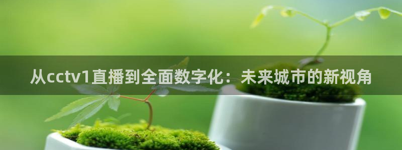体育直播山猫