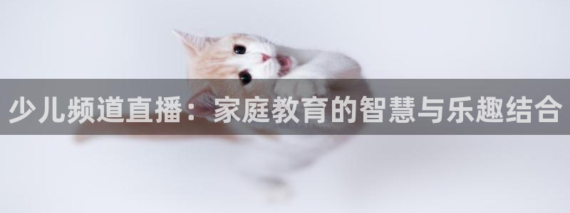 少儿频道直播：家庭教育的智慧与乐趣结合
