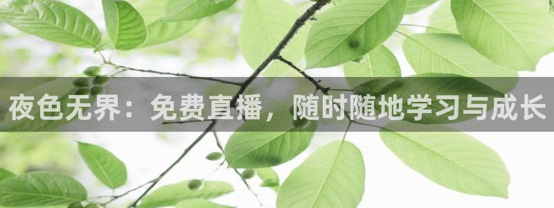 山猫体育免费版：夜色无界：免费直播，随时随地学习与成长