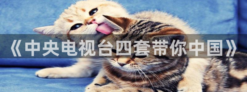 山猫免费nba直播视频直播：《中央电视台四套带你中国》
