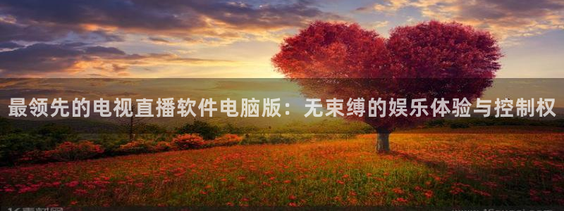 山猫体育直播jrs：最领先的电视直播软件电脑版：无束缚的娱乐体验与控制权