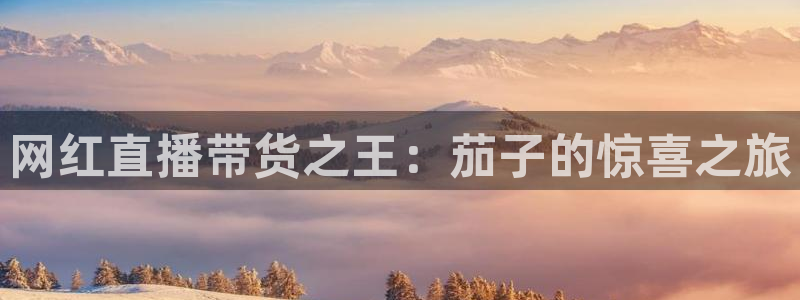 山猫体育免费直播发展联盟：网红直播带货之王：茄子的惊喜之旅