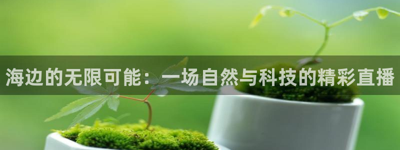 山猫体育在线直播高清：海边的无限可能：一场自然与科技的精彩直播