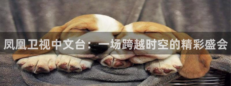 看免费体育直播山猫直播：凤凰卫视中文台：一场跨越时空的精彩盛会